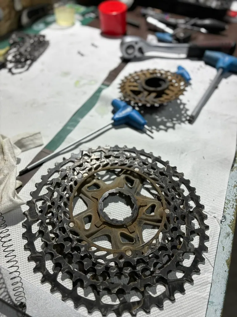Disassembled cassette on the workbench during Scott Scale 2026 drivetrain service